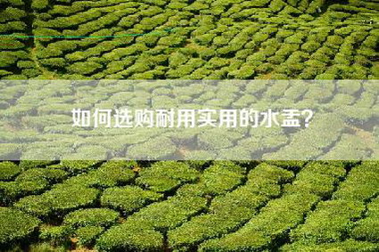 如何选购耐用实用的水盂？