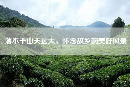 落木千山天远大，怀念故乡的美好风景
