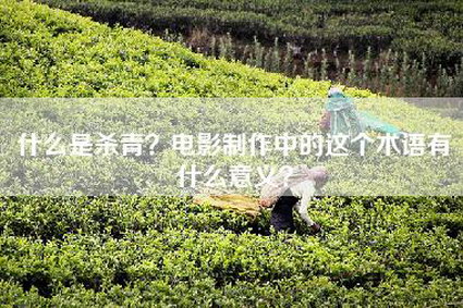什么是杀青？电影制作中的这个术语有什么意义？