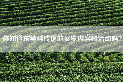 你知道东莞科技馆的展览内容和活动吗？