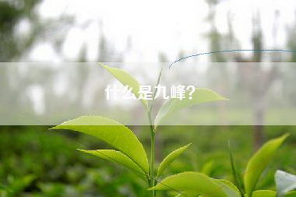 什么是九峰？