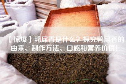 【惊爆】鸭屎香是什么？探究鸭屎香的由来、制作方法、口感和营养价值！