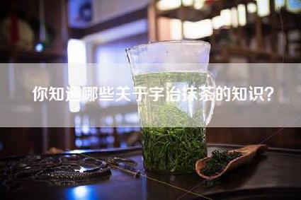 你知道哪些关于宇治抹茶的知识？