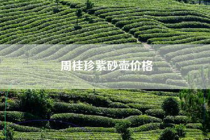 周桂珍紫砂壶价格