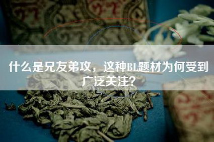 什么是兄友弟攻，这种BL题材为何受到广泛关注？