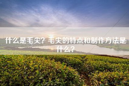 什么是毛尖？毛尖的特点和制作方法是什么？