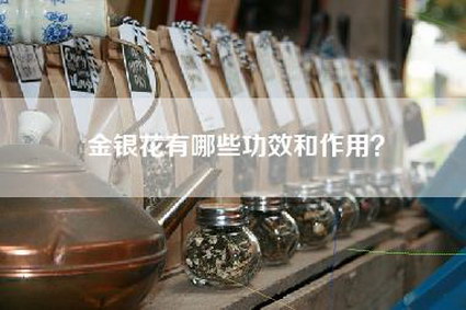 金银花有哪些功效和作用？