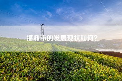 福鼎市的发展现状如何？