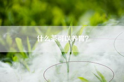 什么茶可以养胃？