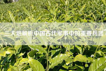三大炮解析中国古代军事中的重要兵器