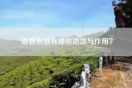 桑葚泡酒有哪些功效与作用？