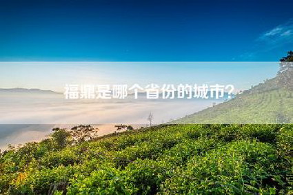 福鼎是哪个省份的城市？