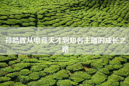 孙皓晖从电竞天才到知名主播的成长之路