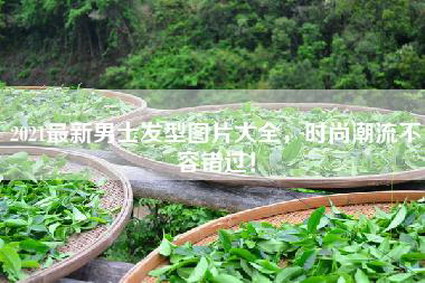 2021最新男士发型图片大全，时尚潮流不容错过！