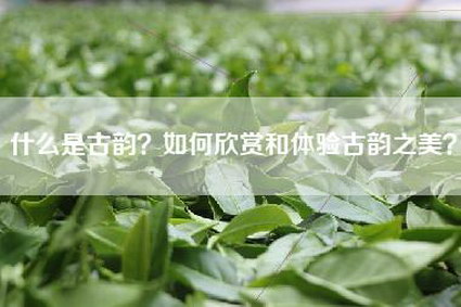 什么是古韵？如何欣赏和体验古韵之美？
