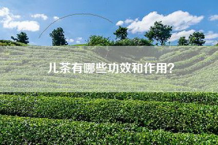 儿茶有哪些功效和作用？