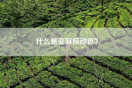 什么是亚麻棕颜色？