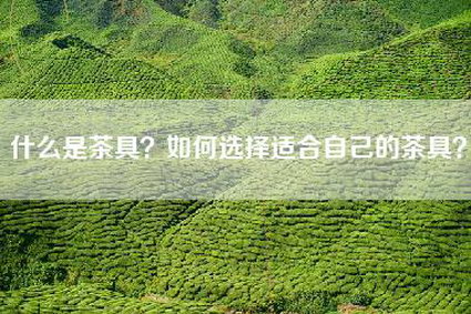 什么是茶具？如何选择适合自己的茶具？