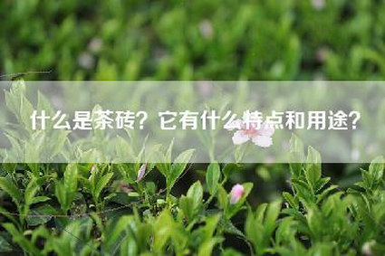 什么是茶砖？它有什么特点和用途？