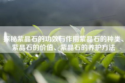 探秘紫晶石的功效与作用紫晶石的种类、紫晶石的价值、紫晶石的养护方法