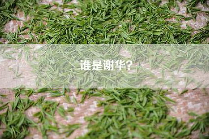 谁是谢华？