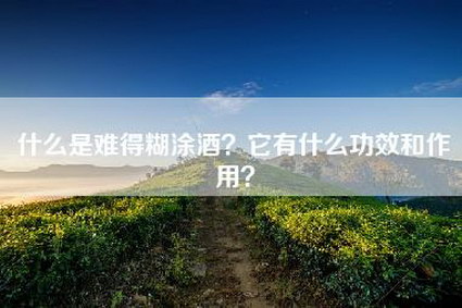 什么是难得糊涂酒？它有什么功效和作用？