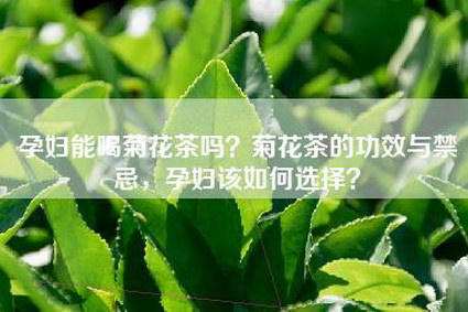 孕妇能喝菊花茶吗？菊花茶的功效与禁忌，孕妇该如何选择？