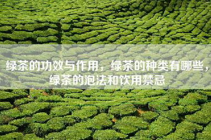 绿茶的功效与作用，绿茶的种类有哪些，绿茶的泡法和饮用禁忌