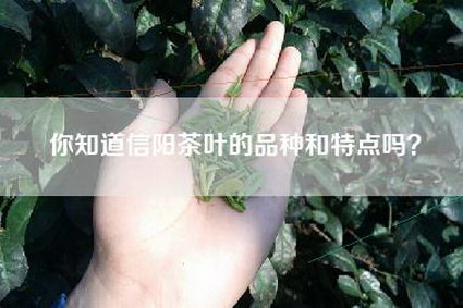 你知道信阳茶叶的品种和特点吗？