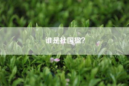 谁是杜国楹？