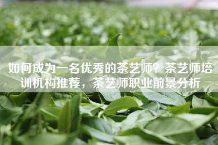 如何成为一名优秀的茶艺师？茶艺师培训机构推荐，茶艺师职业前景分析