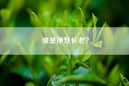 谁是净慧长老？