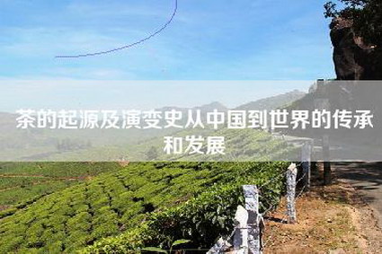 茶的起源及演变史从中国到世界的传承和发展