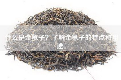 什么是金龟子？了解金龟子的特点和用途。