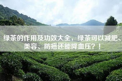 绿茶的作用及功效大全，绿茶可以减肥、美容、防癌还能降血压？！