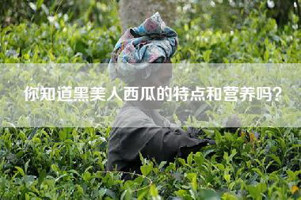 你知道黑美人西瓜的特点和营养吗？
