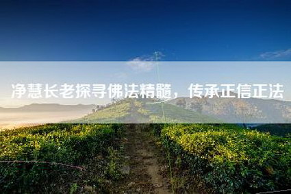 净慧长老探寻佛法精髓，传承正信正法