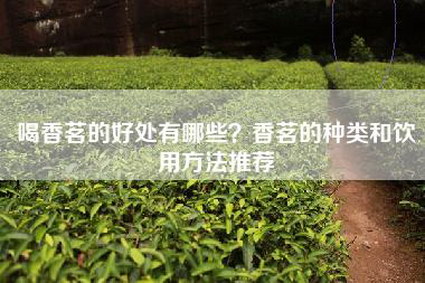 喝香茗的好处有哪些？香茗的种类和饮用方法推荐
