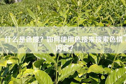 什么是色搜？如何使用色搜来搜索色情内容？