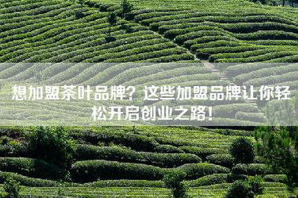 想加盟茶叶品牌？这些加盟品牌让你轻松开启创业之路！
