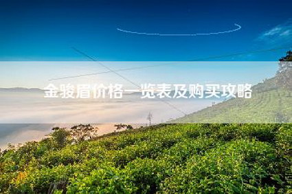 金骏眉价格一览表及购买攻略