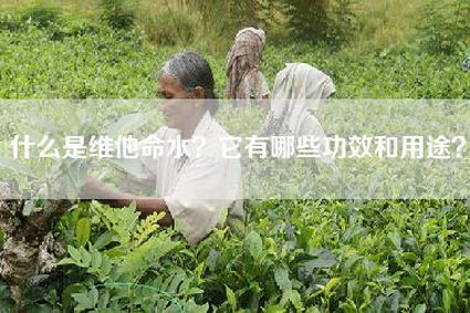 什么是维他命水？它有哪些功效和用途？