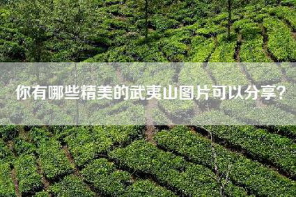 你有哪些精美的武夷山图片可以分享？