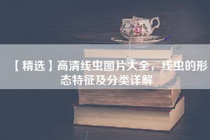【精选】高清线虫图片大全，线虫的形态特征及分类详解