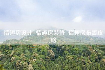 情趣房设计  情趣房装修  情趣房布置攻略