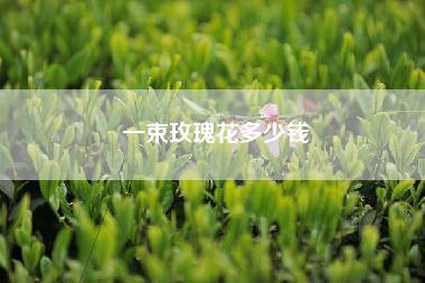一束玫瑰花多少钱
