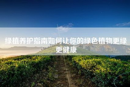 绿植养护指南如何让你的绿色植物更绿更健康