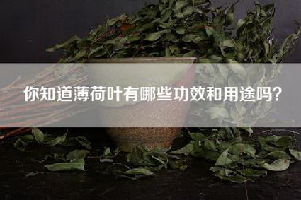 你知道薄荷叶有哪些功效和用途吗？