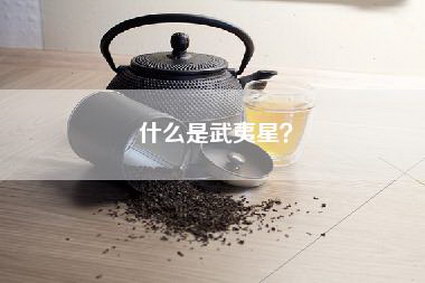 什么是武夷星？