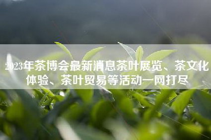 2023年茶博会最新消息茶叶展览、茶文化体验、茶叶贸易等活动一网打尽